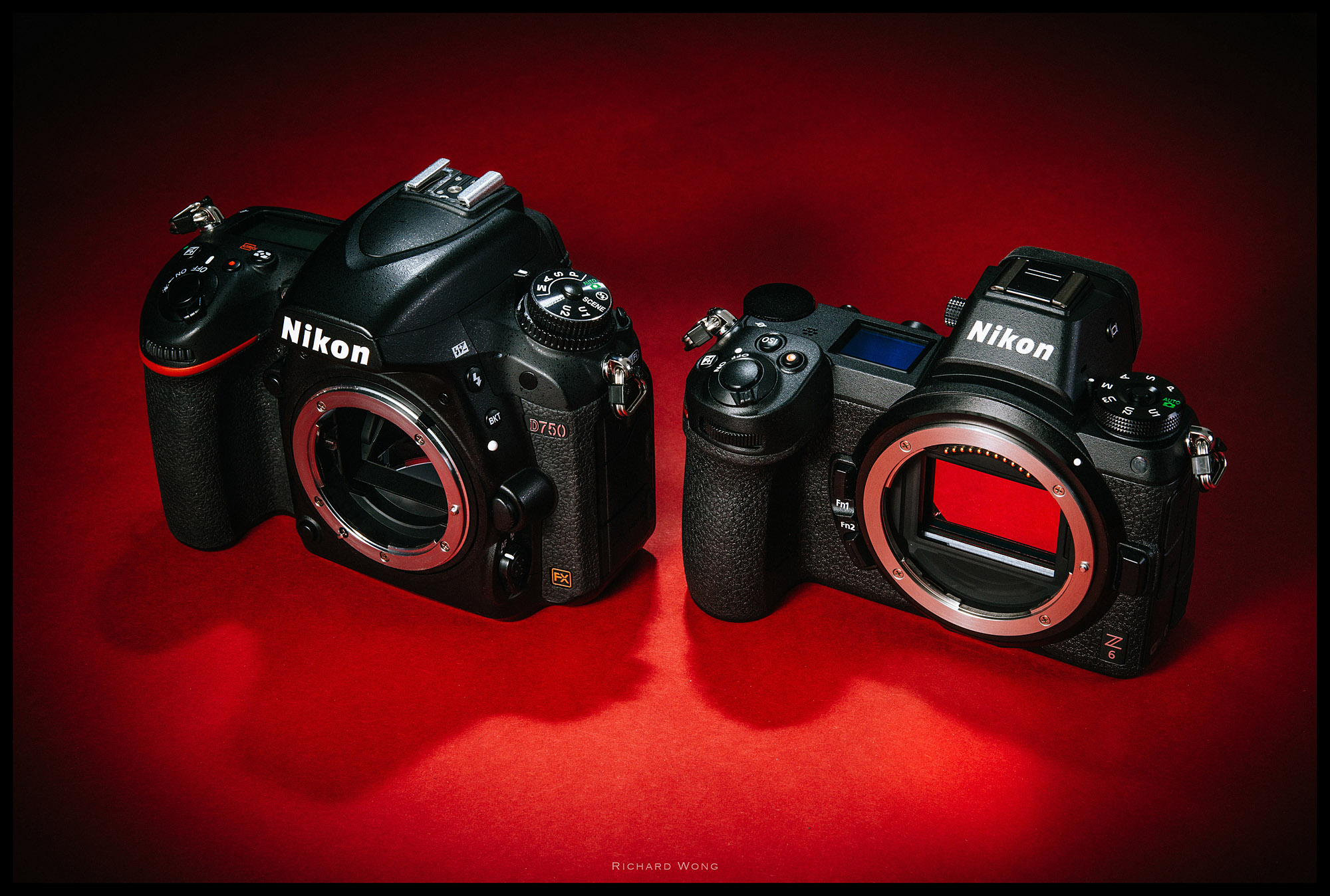 Nikon Z6 vs D750 Review – In-Depth Comparison Review – Review By 