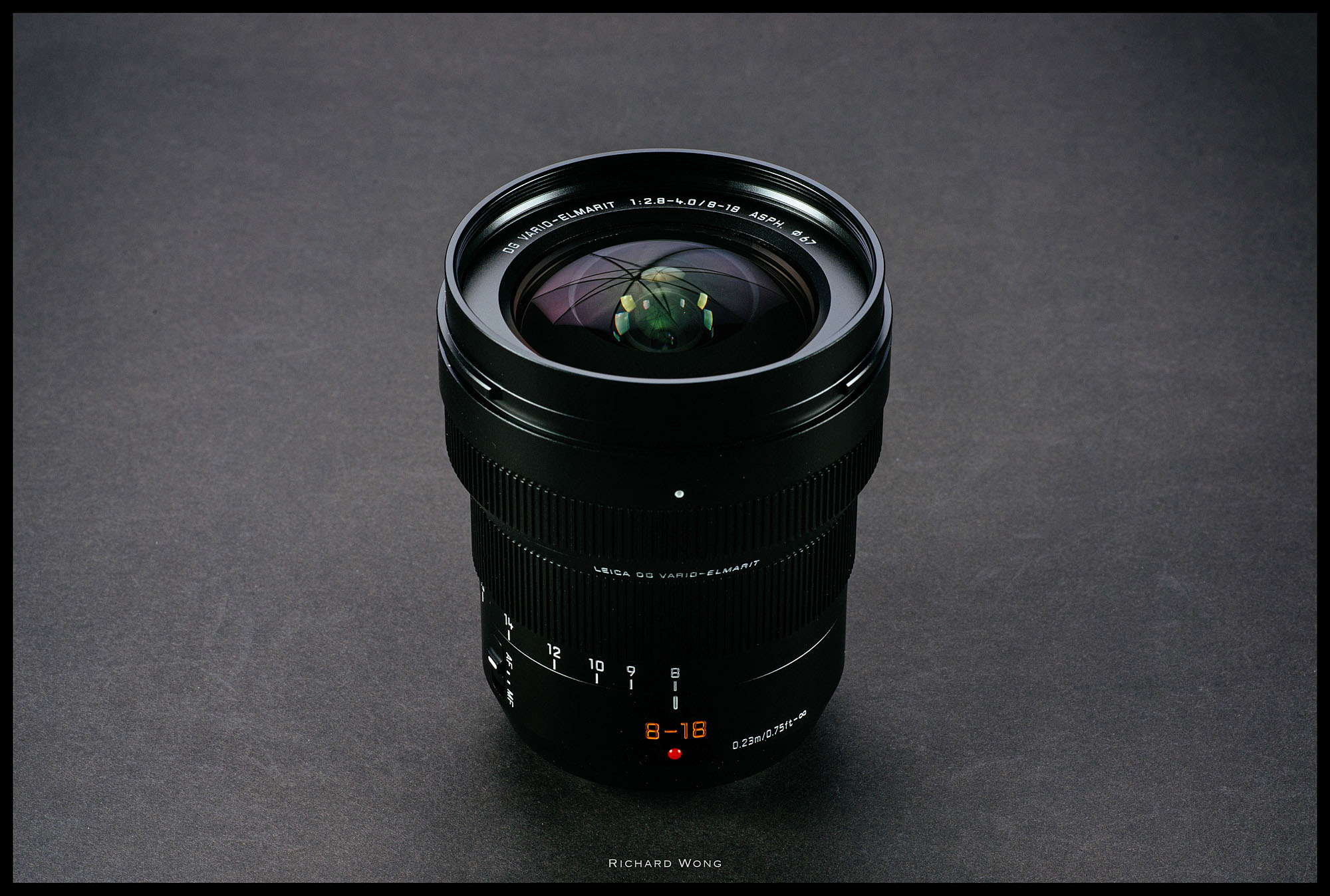 LEICA DG VARIO-ELMARIT 8-18mm f/2.8-4.0 ASPH Review – Review By
